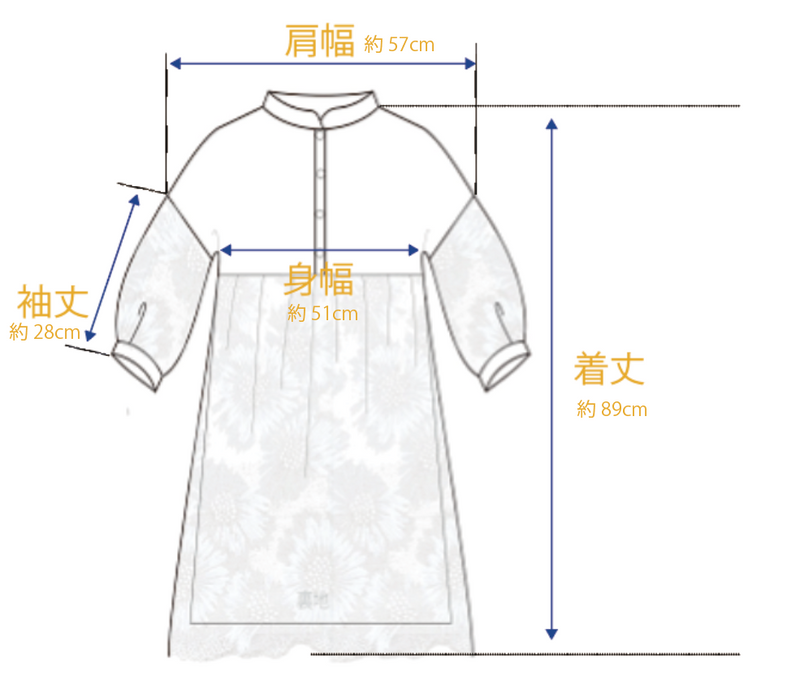 リバーレースチュニックカットソー＜PTS0301＞(全2色)